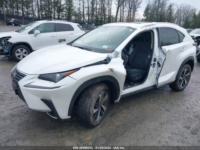 JTJGARDZ9M5025977 Lexus NX 300