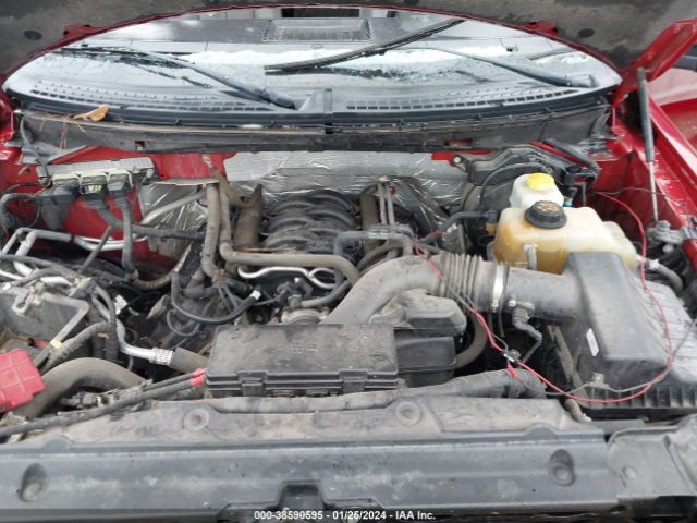 1FTFW1EF7EFC25709 Ford F-150 Xlt