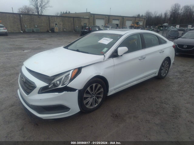 2017 HYUNDAI SONATA SPORT VIN: 5NPE34AF2HH509903