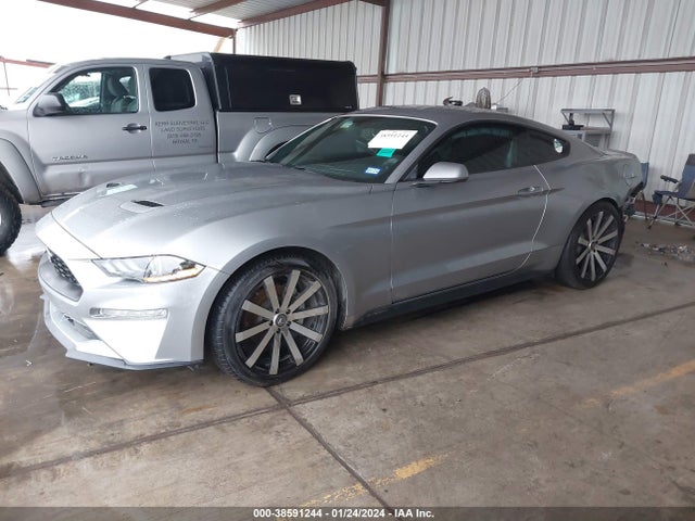 Ford Mustang Ecoboost Fastback 2020 1FA6P8TH4L5142838 Image 2
