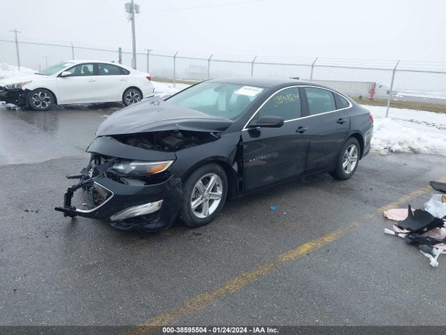 Chevrolet Malibu 1fl 2019 1G1ZC5ST4KF180319 Image 2