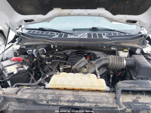 1FTFW1E56MKD67529 Ford F-150 Xlt