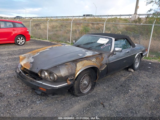 1989 JAGUAR XJS SAJNV484XKC154367 Photo 1