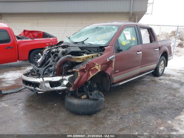 Ford F-150 Xlt 2015 1FTEW1EP9FKD80789 Image 2