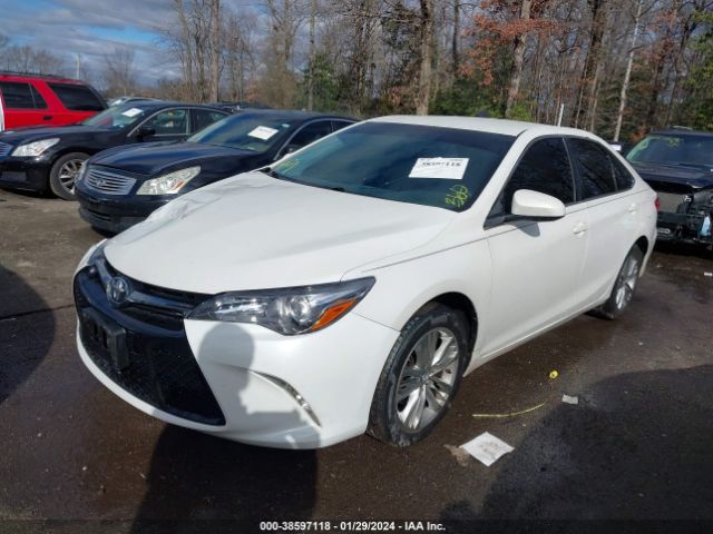 4T1BF1FK1GU245734 Toyota CAMRY SE