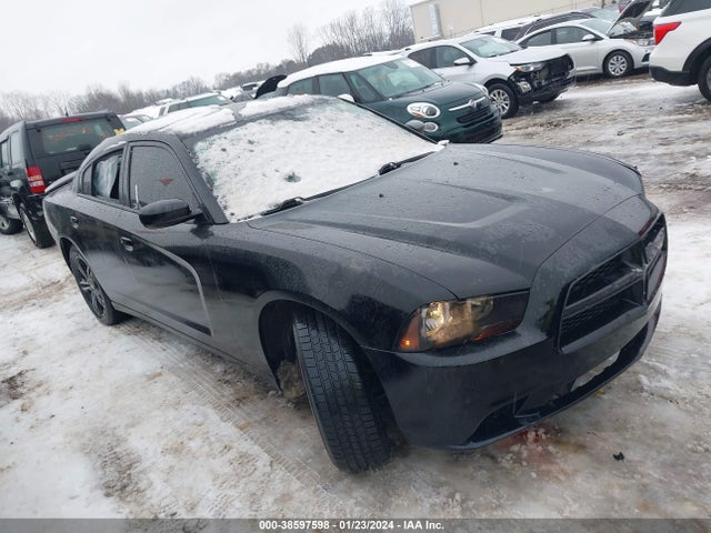 Dodge CHARGER R/T 2014 2C3CDXDT5EH335180 Image 1
