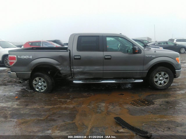 2012 FORD F-150 XLT VIN: 1FTFW1EF2CFB12893