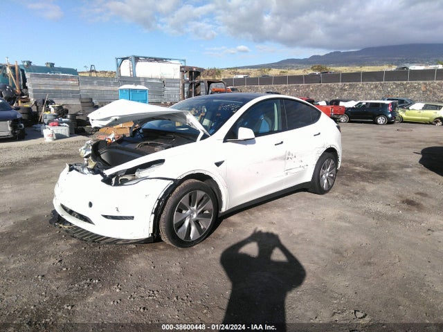 2023 TESLA MODEL Y 7SAYGDEE9PF682949 Photo 1