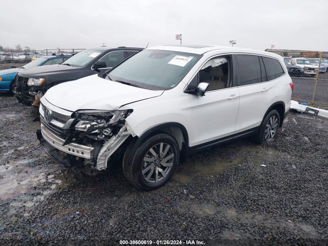 Honda Pilot Awd Ex-l 2020 5FNYF6H52LB046715 Image 2