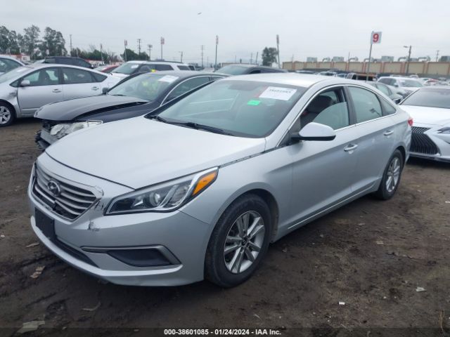 5NPE24AFXHH565168 Hyundai Sonata