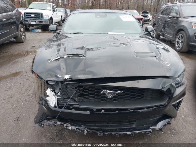 Ford Mustang Ecoboost Fastback 2022 1FA6P8TH3N5136306 Image 12