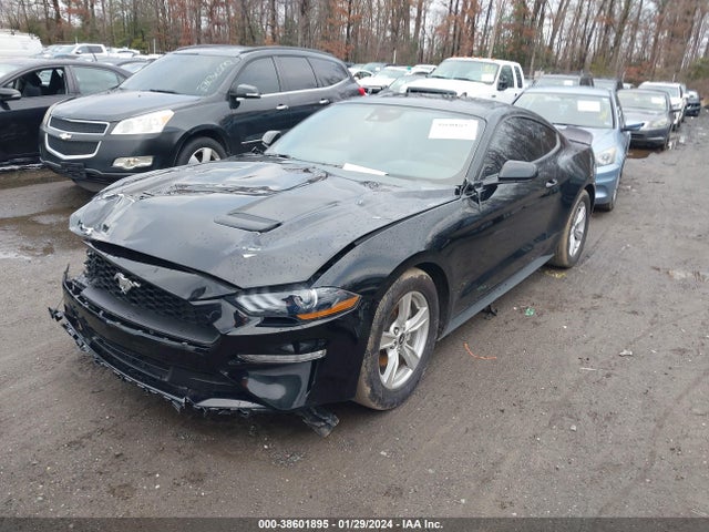 Ford Mustang Ecoboost Fastback 2022 1FA6P8TH3N5136306 Image 2