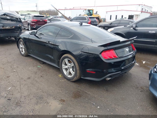 Ford Mustang Ecoboost Fastback 2022 1FA6P8TH3N5136306 Image 3