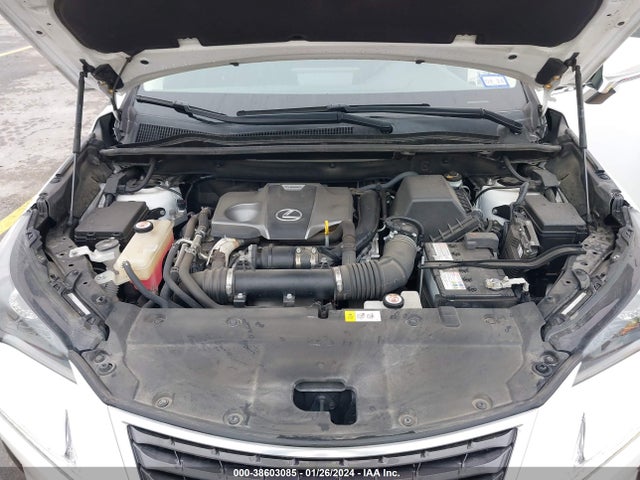 JTJBARBZ1K2183404 Lexus NX 300