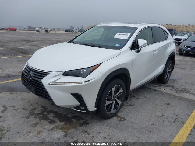 JTJBARBZ1K2183404 Lexus NX 300