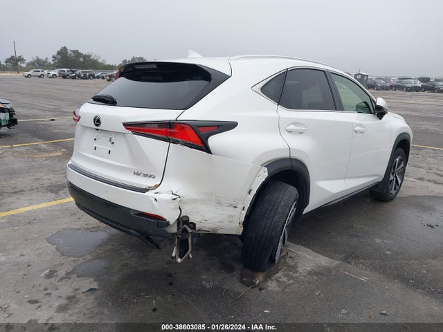 JTJBARBZ1K2183404 Lexus NX 300
