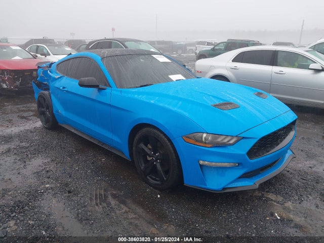 Ford Mustang Ecoboost Fastback 2022 1FA6P8TH6N5130435 Image 1