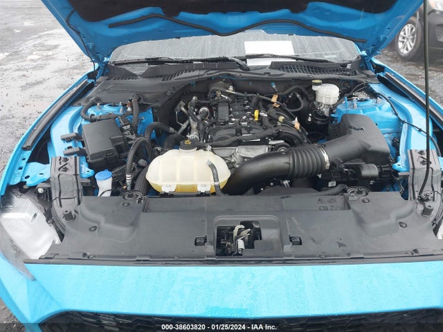 Ford Mustang Ecoboost Fastback 2022 1FA6P8TH6N5130435 Image 10