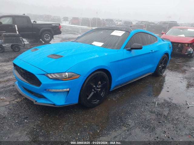 Ford Mustang Ecoboost Fastback 2022 1FA6P8TH6N5130435 Image 2
