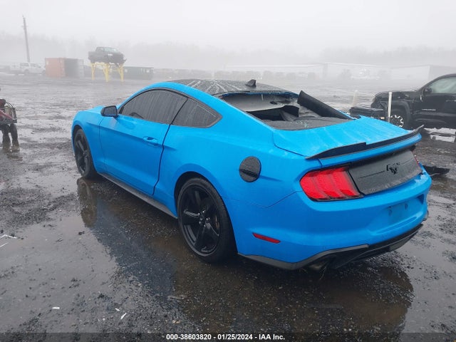 Ford Mustang Ecoboost Fastback 2022 1FA6P8TH6N5130435 Image 3