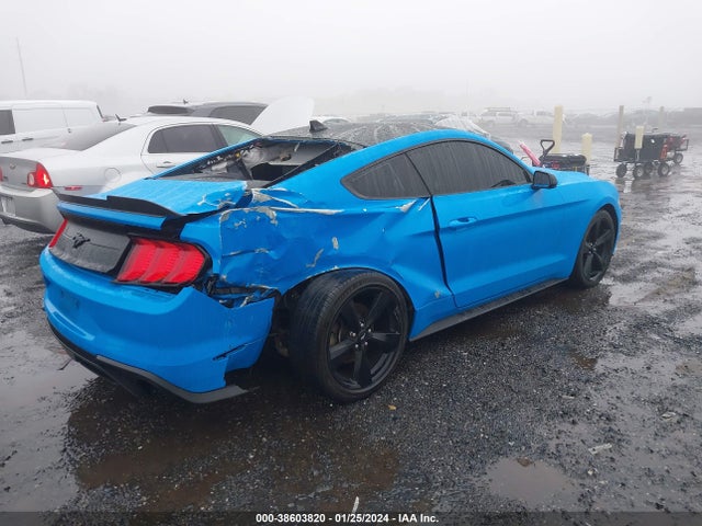 Ford Mustang Ecoboost Fastback 2022 1FA6P8TH6N5130435 Image 4