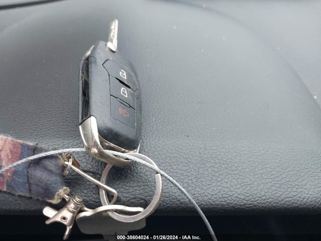 1FTEW1C55LKD25446 Ford F-150 Xlt