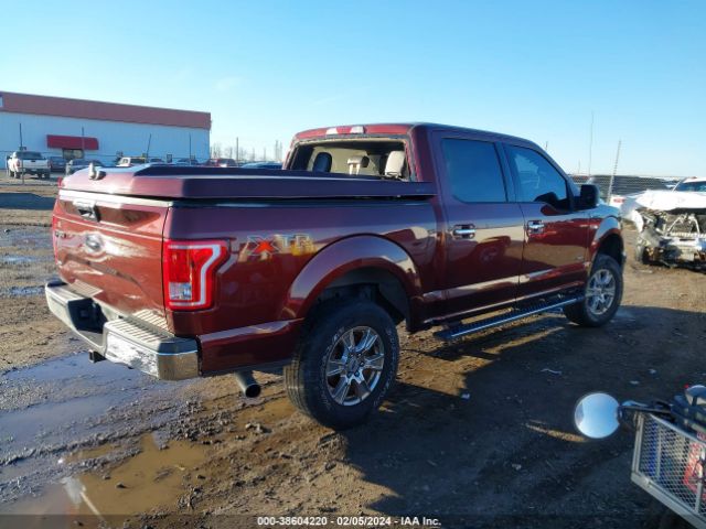 1FTEW1EP9HFA03858 Ford F-150 Xlt