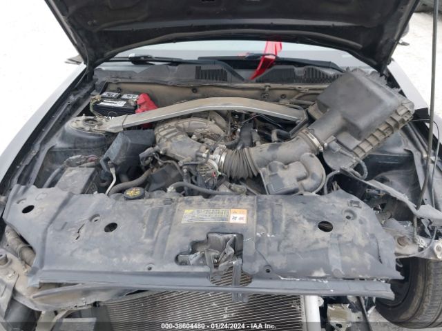 1ZVBP8EM4E5323196 Ford Mustang V6