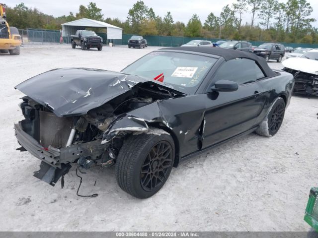 1ZVBP8EM4E5323196 Ford Mustang V6