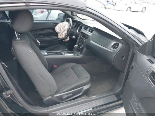 1ZVBP8EM4E5323196 Ford Mustang V6