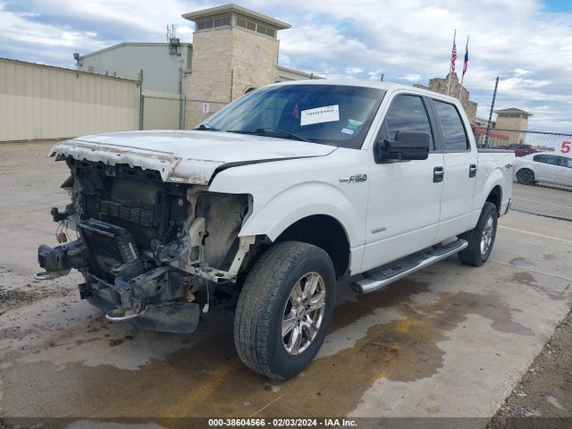 Ford F-150 Xlt 2014 1FTFW1ET2EKE12935 Image 2