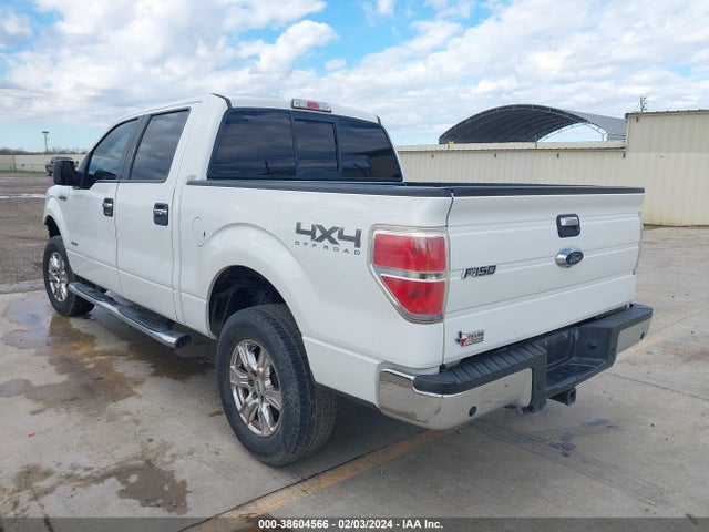 Ford F-150 Xlt 2014 1FTFW1ET2EKE12935 Image 3