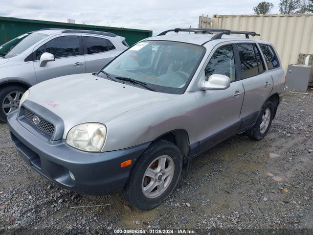 2002 HYUNDAI SANTA FE GLS/LX VIN: KM8SC13D32U285871