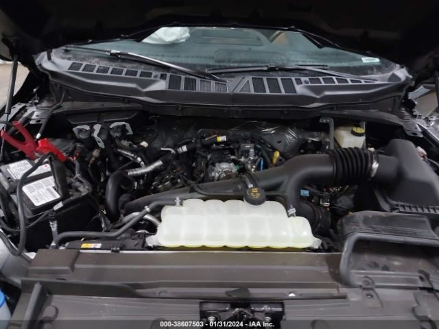 1FTEW1EP9PFB66752 Ford F-150 Xlt
