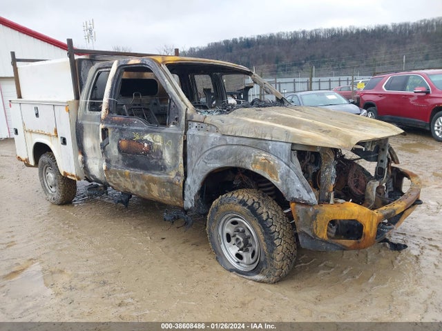 2011 FORD F-250 XL VIN: 1FT7X2B65BEA75113