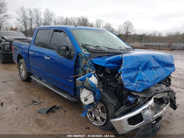 2016 FORD F-150 XLT VIN: 1FTEW1EGXGFC81456