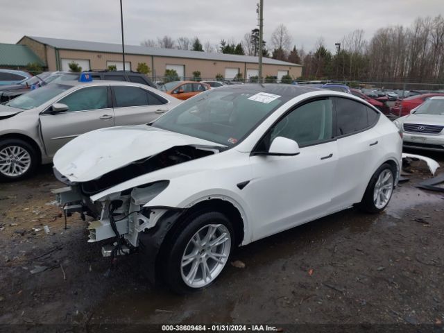 2023 TESLA MODEL Y 7SAYGDEE7PF666877 Photo 1