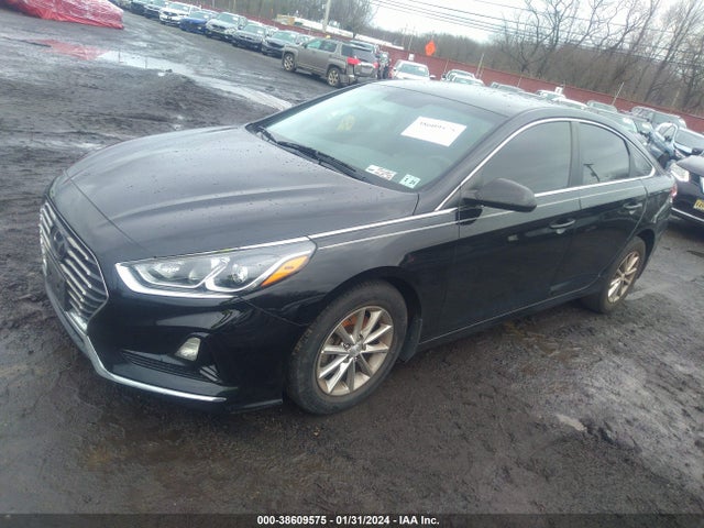 Hyundai SONATA SE 2019 5NPE24AF6KH735579 Image 2