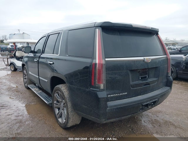 2015 CADILLAC ESCALADE 1GYS4NKJ7FR612517 Photo 2