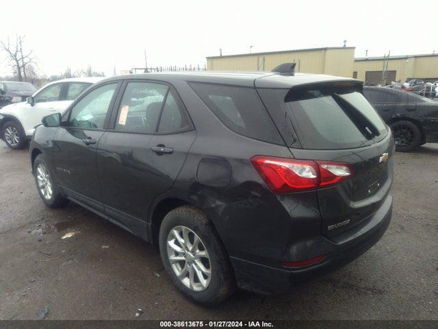 Chevrolet EQUINOX LS 2019 2GNAXHEV2K6131113 Image 3