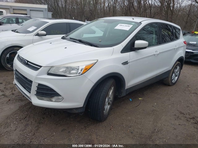 Ford ESCAPE SE 2014 1FMCU9GX3EUC82977 Image 2