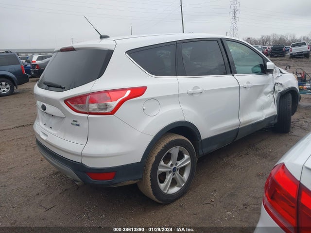 Ford ESCAPE SE 2014 1FMCU9GX3EUC82977 Image 4