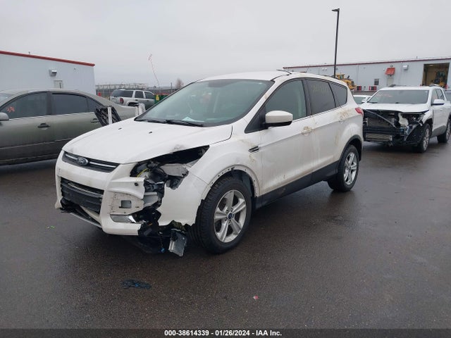 Ford ESCAPE SE 2016 1FMCU9G96GUB07708 Image 2