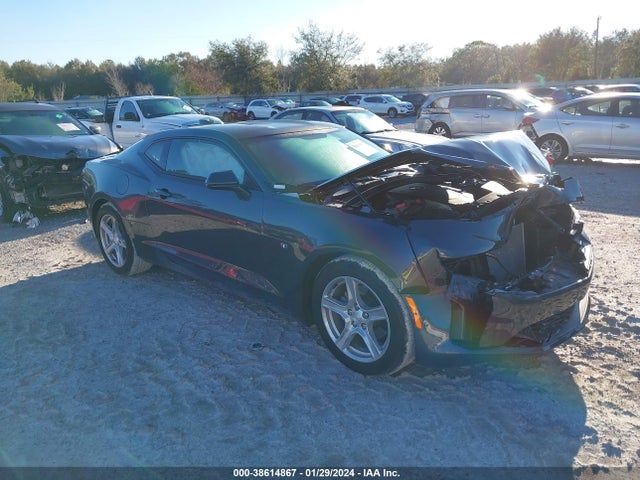 2023 1G1FB1RSXP0143717 main image