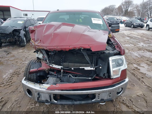 Ford F-150 Xlt 2014 1FTFW1EF4EKE38771 Image 12