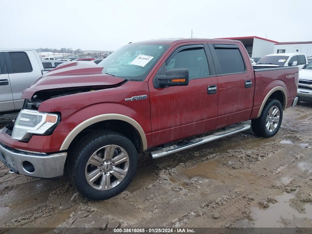 Ford F-150 Xlt 2014 1FTFW1EF4EKE38771 Image 2