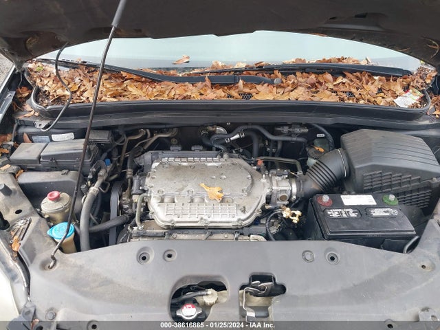 2006 HONDA ODYSSEY EX-L VIN: 5FNRL38686B437621