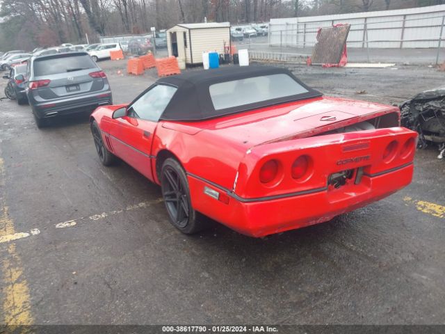 1989 CHEVROLET CORVETTE 1G1YY3188K5100170 Photo 2