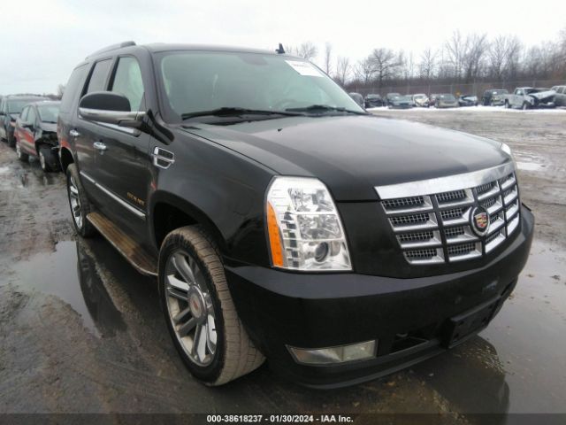 Auction sale of the 2011 Cadillac Escalade Luxury, vin: 1GYS4BEF8BR209579, lot number: 38618237