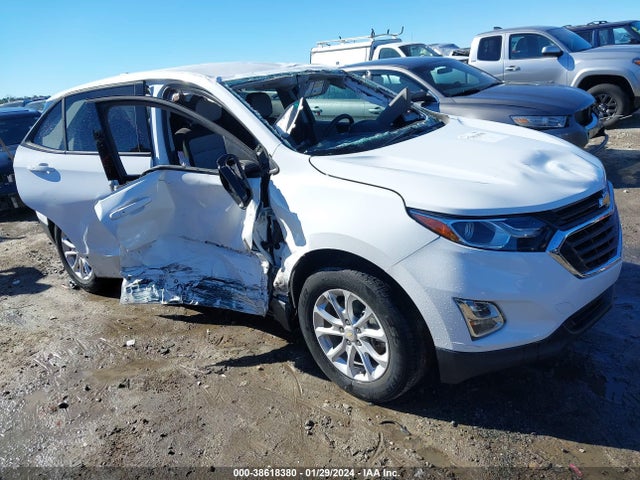 Chevrolet EQUINOX LS 2019 3GNAXSEV1KS562735 Image 1